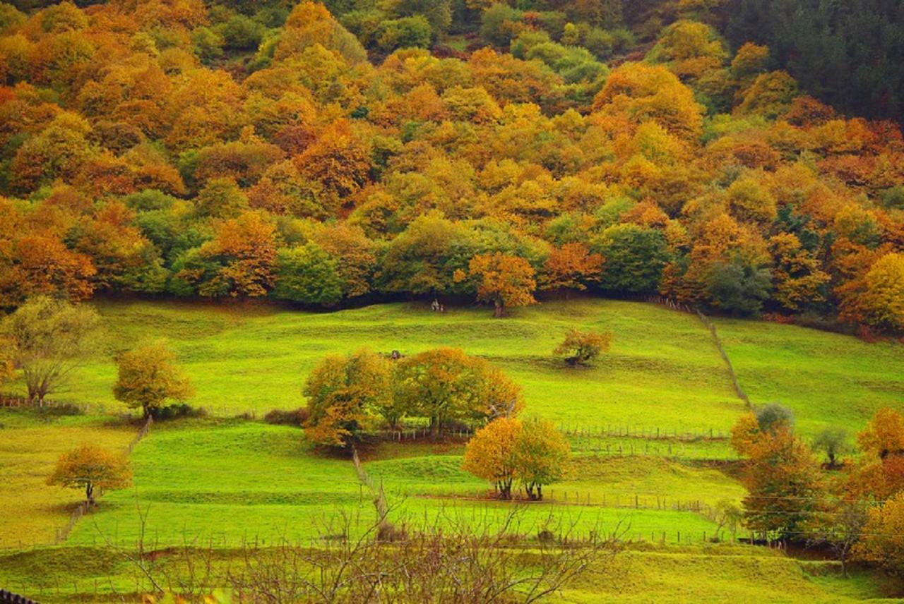 Villasuso de Cieza El Rincon Del Besayaゲストハウス エクステリア 写真