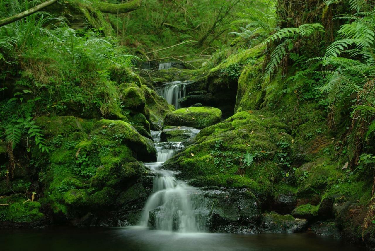 Villasuso de Cieza El Rincon Del Besayaゲストハウス エクステリア 写真
