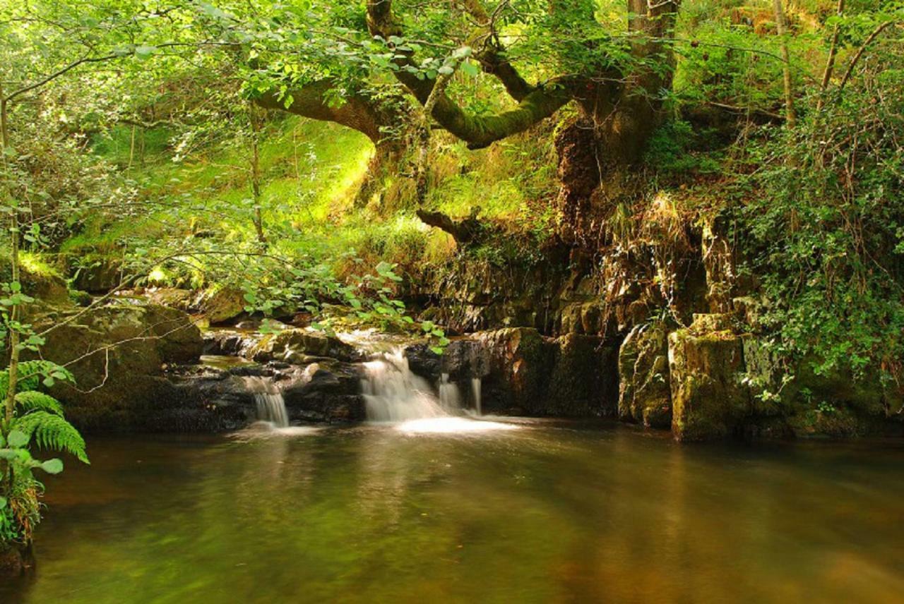 Villasuso de Cieza El Rincon Del Besayaゲストハウス エクステリア 写真