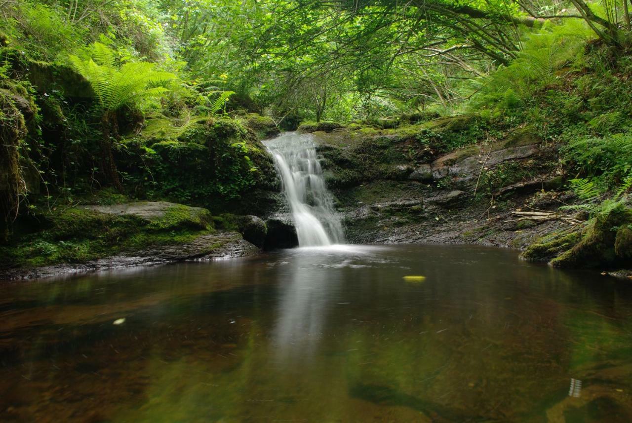 Villasuso de Cieza El Rincon Del Besayaゲストハウス エクステリア 写真
