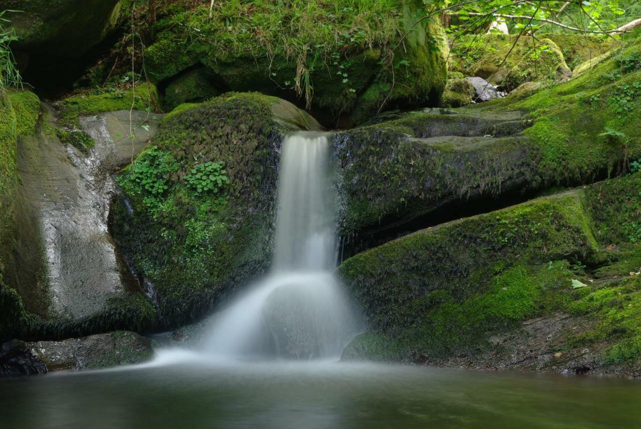 Villasuso de Cieza El Rincon Del Besayaゲストハウス エクステリア 写真