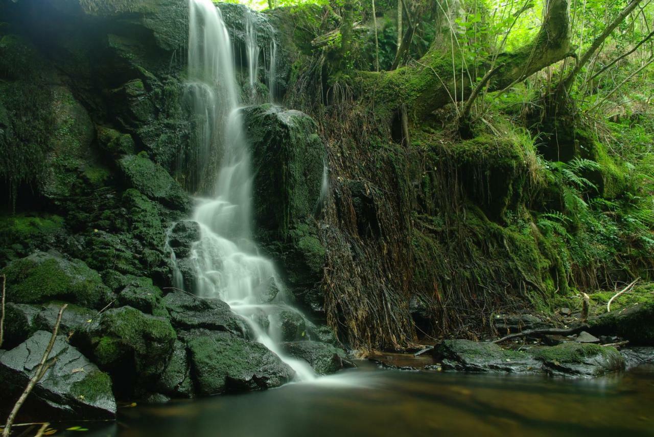 Villasuso de Cieza El Rincon Del Besayaゲストハウス エクステリア 写真